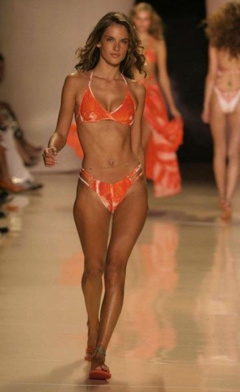 2. Alessandra Ambrosio Sexy – Rosa Cha Swimsuit, 2007