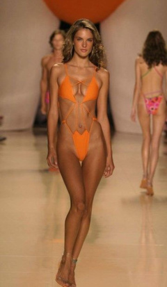 5. Alessandra Ambrosio Sexy – Rosa Cha Swimsuit, 2007