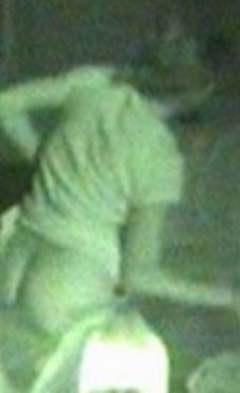 2. Alicia Machado Naked – La granja, 2004