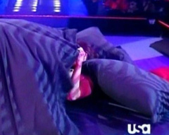 2. Amy Dumas Naked – WWE RAW, 2006