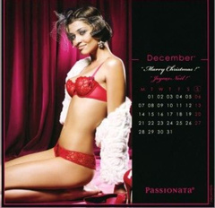 9. Ana Beatriz Barros – Passionata calendar 2009, 2008