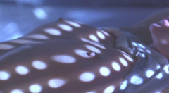 2. Cindy Crawford Naked – Fair Game, 1995