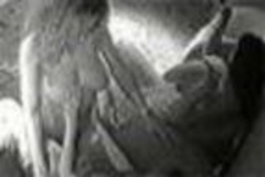 7. Dannii Minogue – lesbian lapdance, 1998