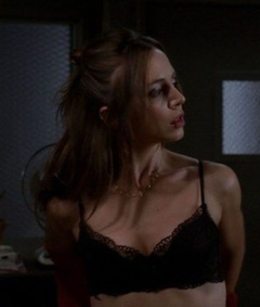 8. Eliza Dushku Sexy – Dollhouse, 2009