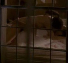 5. Ginnifer Goodwin Sexy – Big Love, 2007