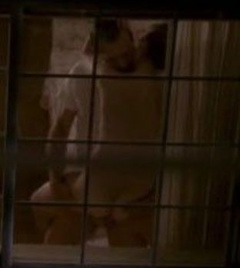 6. Ginnifer Goodwin Sexy – Big Love, 2007