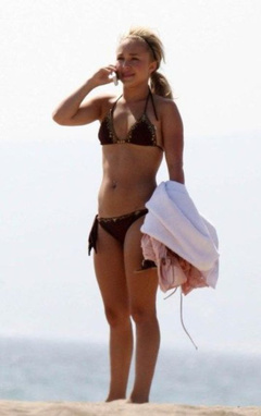 1. Hayden Panettiere – brown bikini, 2007