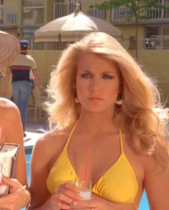 4. Heather Thomas Sexy – The Fall Guy, 1981