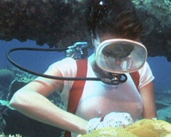2. Jacqueline Bisset See-Through – The Deep, 1977