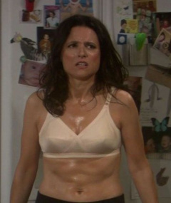 1. Julia Louis-Dreyfus Sexy – The New Adventures of Old Christine, 2006