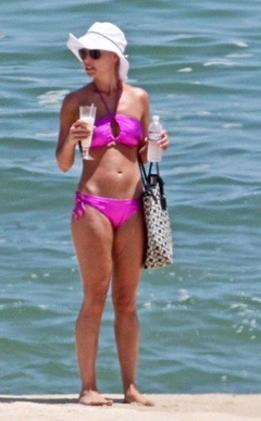 5. Katherine Heigl – purple bikini, 2008