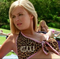 3. Keri Lynn Pratt Sexy – Veronica Mars, 2004