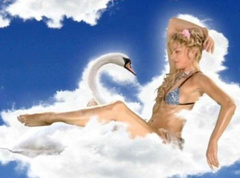 2. Kim Cattrall – Kim Cattrall Sexual Intelligence, 2005