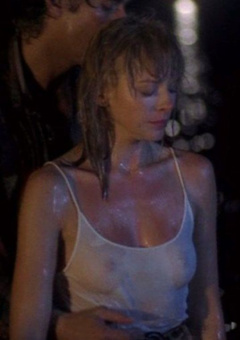 2. Kim Cattrall See-Through – Midnight Crossing, 1988