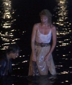 3. Kim Cattrall See-Through – Midnight Crossing, 1988