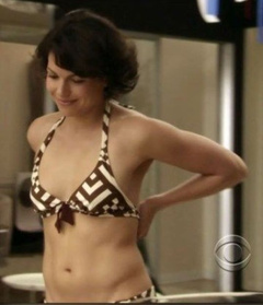 4. Lana Parrilla Sexy – Swingtown, 2008