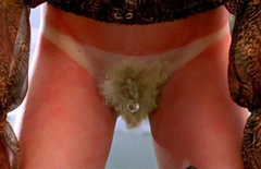 18. Malin Akerman Naked – The Heartbreak Kid, 2007