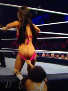 3. Milena Roucka Sexy – WWE Main Event, 2014