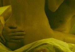 8. Mini Anden Naked – The Mechanic, 2011