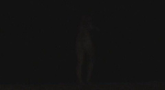 18. Olivia Wilde Naked – Drinking Buddies, 2013