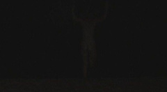 19. Olivia Wilde Naked – Drinking Buddies, 2013