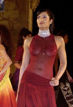 3. Padma Lakshmi – see through, 2002