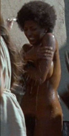 17. Pam Grier Naked – The Arena, 1974