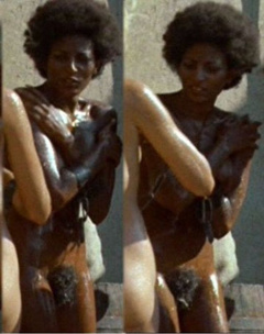 18. Pam Grier Naked – The Arena, 1974