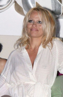 3. Pamela Anderson See Through – Grand Prix party, 2008