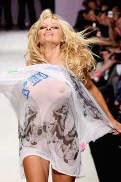 5. Pamela Anderson – see through, 2009
