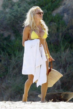 5. Pamela Anderson – yellow bikini, 2009