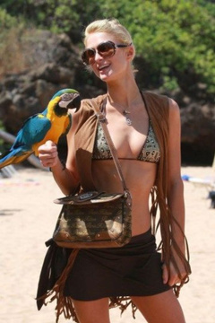 19. Paris Hilton – bikini photoshoot, 2009