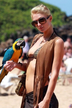 5. Paris Hilton – bikini photoshoot, 2009