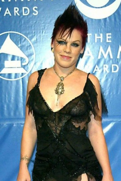 2. Pink See-Through – 2003 Grammy Awards, 2003