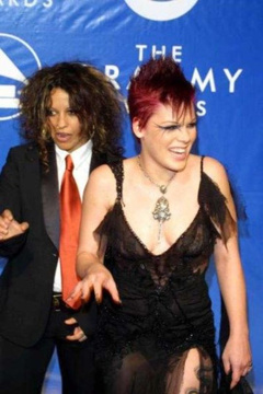 7. Pink See-Through – 2003 Grammy Awards, 2003