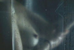 2. Rebecca R. Palmer Naked – Blood Trails, 2006