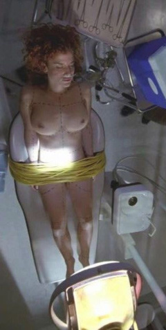 4. Robin Sydney Naked – Masters of Horror, 2005