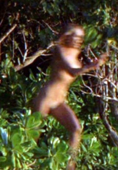 4. Sara Foster Naked – The Big Bounce, 2004