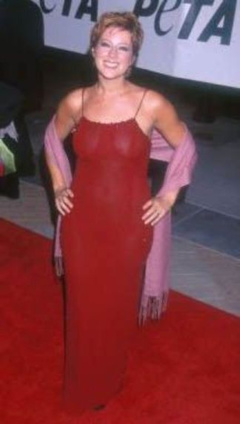 4. Sarah McLachlan – See through dress, 2000
