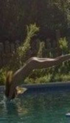 8. Shannan Click – nude photoshoot, 2008