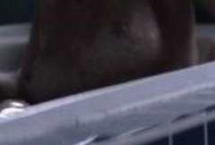 4. Sharni Vinson Naked – Patrick, 2013