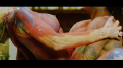 7. Tanit Phoenix Naked – Maya, 2008