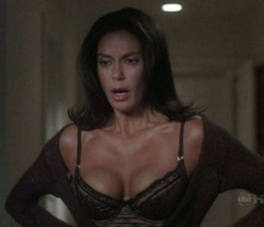 4. Teri Hatcher Sexy – Desperate Housewives, 2004