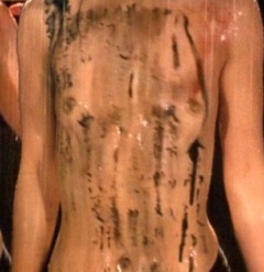 5. Vivian Wu Naked – The Pillow Book, 1996