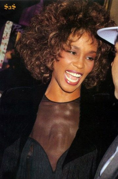 1. Whitney Houston – see through