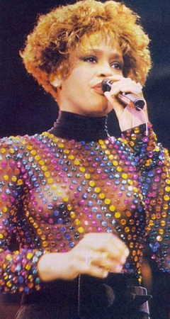 2. Whitney Houston – see through