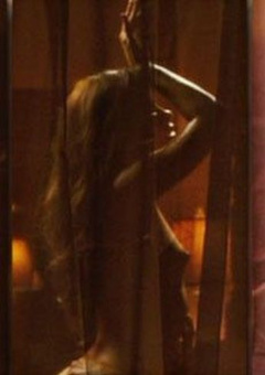 4. Zulay Henao Naked – Illegal Tender, 2007