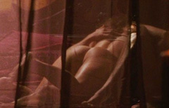 5. Zulay Henao Naked – Illegal Tender, 2007