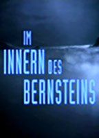 Im Innern des Bernsteins