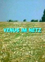 Venus im Netz
